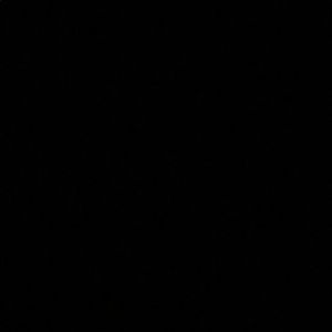 Meet your Posher, Ari